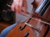 gbstudio19
